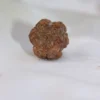 3 Mukhi Rudraksha