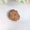 11 Mukhi Rudraksha
